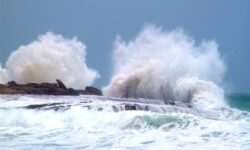 «سیریک» خوش‌آتیه‌ای در نوار ساحلی خلیج فارس و دریای عمان – جمهورآنلاین