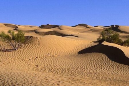 زنگ خطر امنیت غذایی ایران را به صدا درآورد – جمهورآنلاین