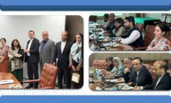 توافق ایران و پاکستان برای ایجاد منطقه آزاد مشترک در مرز ریمدان–گبد – جمهورآنلاین