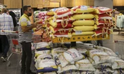 واردات ۷۰۰ هزار تن برنج؛ ثبات بازار در گرو تخصیص بهموقع ارز