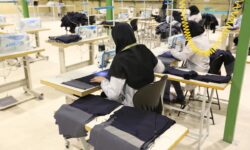 پرداخت تسهیلات کارآفرینی در پنج ماهه امسال ۲ برابر شد