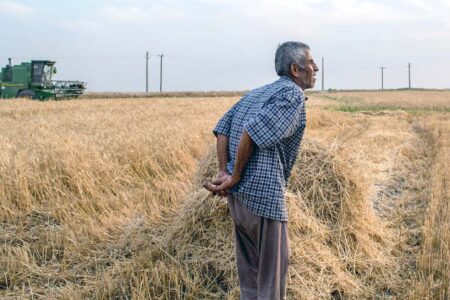 کشاورزی؛ قربانی ردیف اول سوءحکمرانی