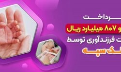 پرداخت ۱۷ هزارو ۸۰۷ میلیارد ریال تسهیلات فرزندآوری توسط بانک سپه – جمهورآنلاین