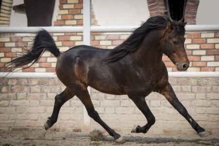 کاسپین هم‌قدم با یونسکو