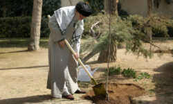 نهضت ملی درختکاری جدی گرفته شود و ادامه یابد – جمهورآنلاین