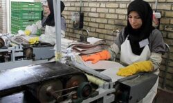 حمایت و توانمندسازی زنان،گام مهمی در تحقق سرمایهگذاری برای تولید است