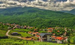 عارف: اولویت مهم دولت حمایت از بخش خصوصی است