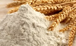 تأمین و توزیع گندم و آرد ۸۶ هزار نانوایی برای تولید نان ۸۶ میلیون ایرانی – جمهورآنلاین