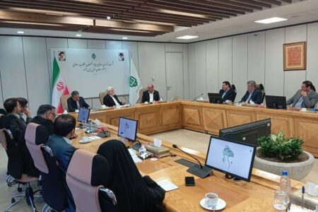 بنیاد مستضعفان رقیب دولت نیست – جمهورآنلاین