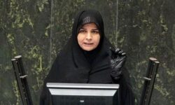 کویر ایران سکوی پرتاب به بازارهای جهانی است – جمهورآنلاین