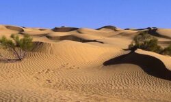 زنگ خطر امنیت غذایی ایران را به صدا درآورد – جمهورآنلاین