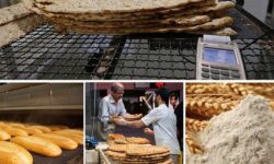 افزایش سهمیه آرد در استان‌های مسافرپذیر