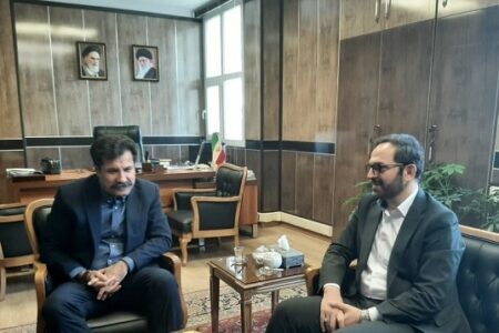 مدیرعامل بانک کشاورزی با معاون توسعه روستایی رئیس جمهور دیدار کرد