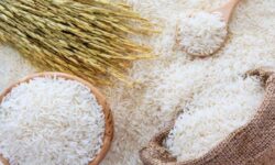 اعمال سیاست‌های جدید دولت برای تنظیم بازار برنج داخلی