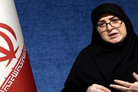 مهاجرانی: براساس منافع ملی درباره مذاکرات تصمیم می‌گیریم