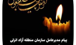 پیام مدیرعامل سازمان منطقه آزاد انزلی در پی اقدام تروریستی رژیم صهیونیستی: