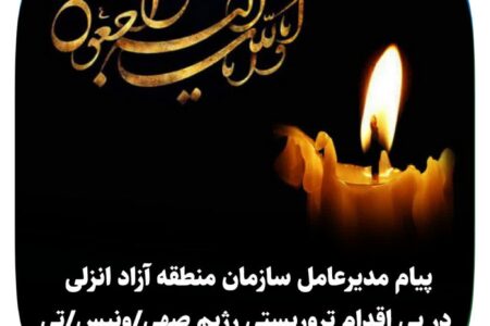 پیام مدیرعامل سازمان منطقه آزاد انزلی در پی اقدام تروریستی رژیم صهیونیستی: