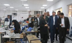 دبیر شورایعالی مناطق آزاد از واحدهای تولیدی منطقه آزاد اروند بازدید کرد – جمهورآنلاین