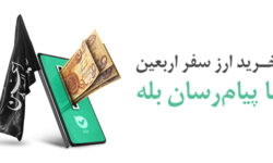 پرداخت بیش از ۱۲۸ میلیارد دینار ارز اربعین