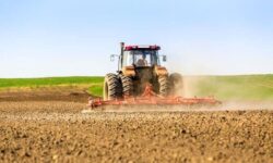 پیگیری مشکلات اراضی ۱۷۰۰ هکتاری کشاورزی و دامپروری خرمشهر