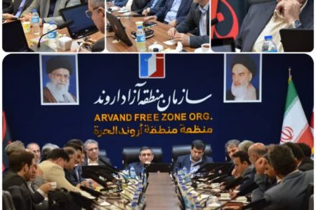 تعاونی‌های گردشگری سلامت در منطقه آزاد اروند ایجاد شوند