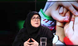 واکنش سخنگوی دولت به لغو کنسرت همایون شجریان