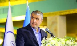 اسلامی: استانداردهای آژانس دوگانه است