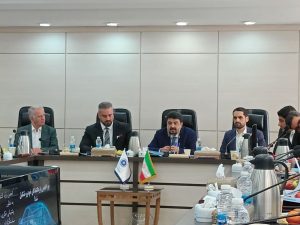 فرضیه تبانی واردکنندگان خودرو با خودروسازان، توهم است