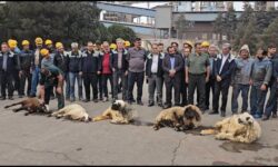 آیین معنوی بدرقه محموله موكب شهدای ذوب‌آهن اصفهان برگزار شد