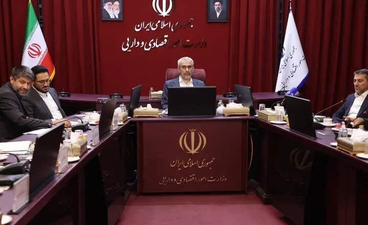 مدنی‌زاده: مناطق آزاد پایلوت سیاست‌های جدید اقتصادی